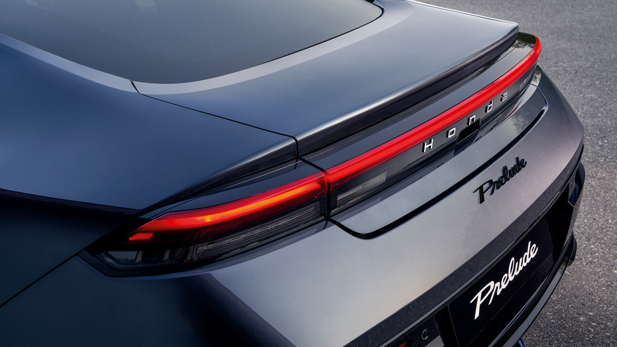 Aptakus galinis profilis